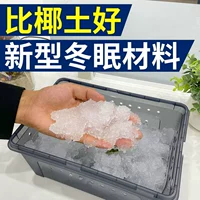 Маленькая черепаха Зимняя зима зимняя вода переосмыслила политические бразильские черепахи перекрестка зимние продукты