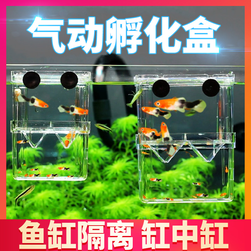 Fish tank isolation box in the tank guppy breeding artifact small fish cub separator mesh mesh raw small fish raw fish