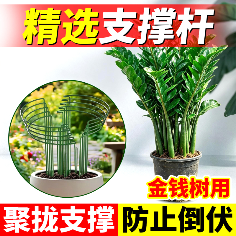 Money Tree Support Rod Flower Stand Hydrangea Monstera Bird of Paradise Flower Support Frame Plant Fixing Anti-Fall Bracket Money Tree Support Rod Flower Stand Hydrangea Monstera Bird of Paradise Flower Support Frame Plant Fixing Anti-Fall Bracket