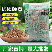 Vermiculite gardening perlite flower hair root flower nursery turtle egg hatching succulent plant nutrient soil cutting particles