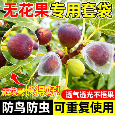 Fig-specific bagging for preventing insects and birds, fruit bagging, protective bags for fruits and vegetables, grapes, peaches and pears, and cloth bags