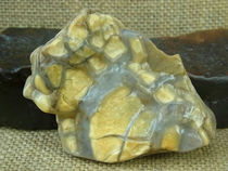 Old tree withered vine horse tooth stone shape natural stone collection Alxa Gobi agate original stone C