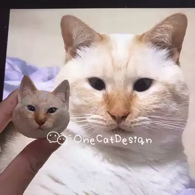 Stubborn cat original pet air outlet aromatherapy stone refrigerator sticker decoration custom different pet rabbit lizard parrot