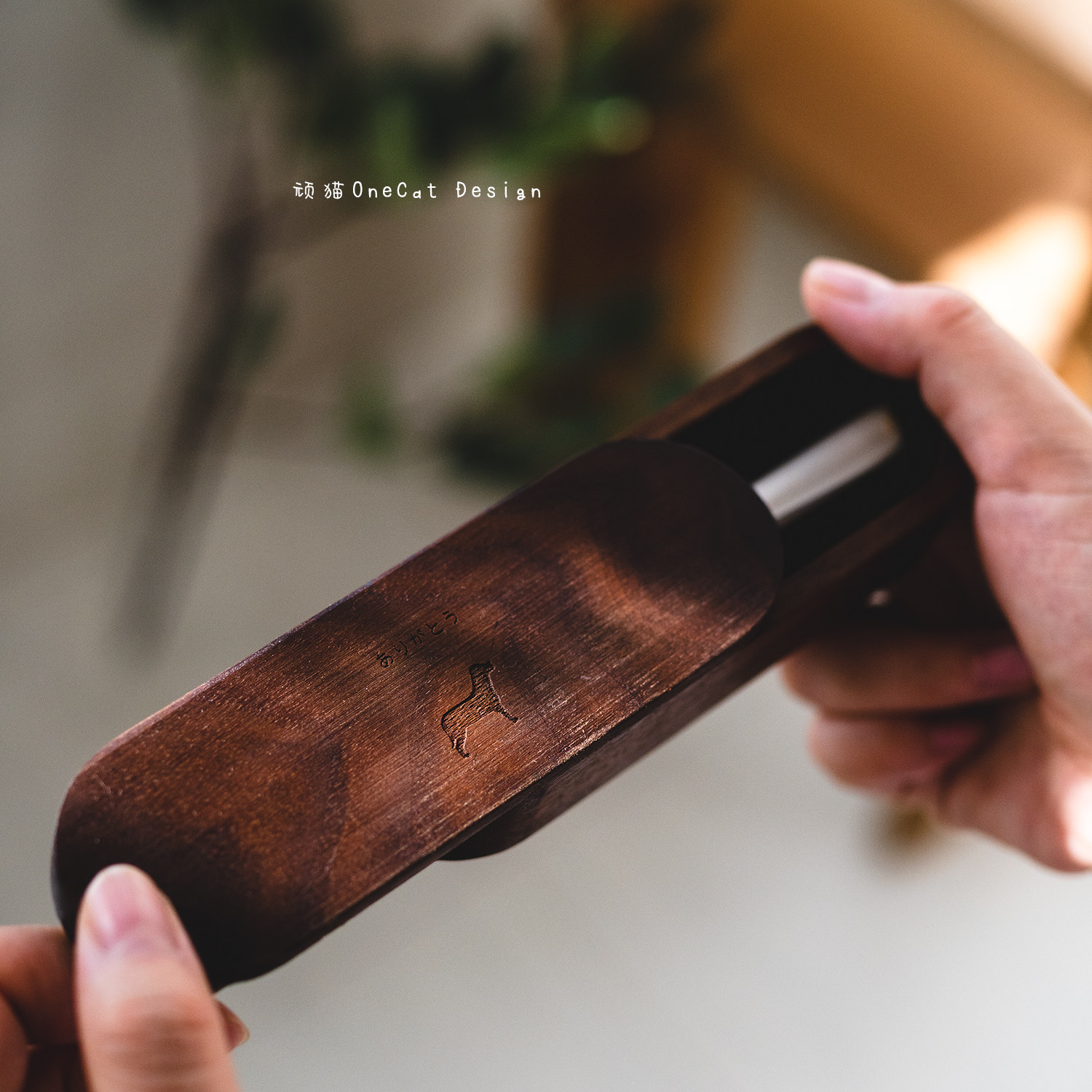 Naughty Studio Cat kittens to contain box pooch Hair Pet Memorabilia Customised