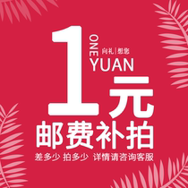 Postage difference Shunfeng Express tonic difference goods price Special shoot how much to make dont do the actual use