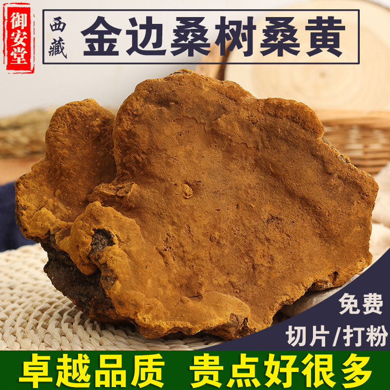 Authentic Tibetan mulberry tree mulberry yellow wild mulberry tree mulberry yellow lingzhi wild samhuang whole branches of Lingzhi Lingzhi 250 gr