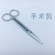 Special stainless steel general surgical scissors hospital scissors straight tip 12 5 14 16cm straight tip hemostatic forceps
