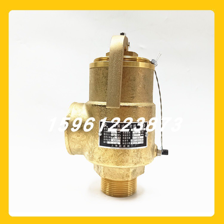 A28HP-16T Shanghai Yuejin full copper spring safety valve DN32 DN40 full opening safety valve