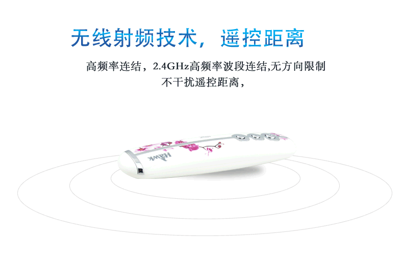 Telecommande - pointeur laser - Ref 384311 Image 11