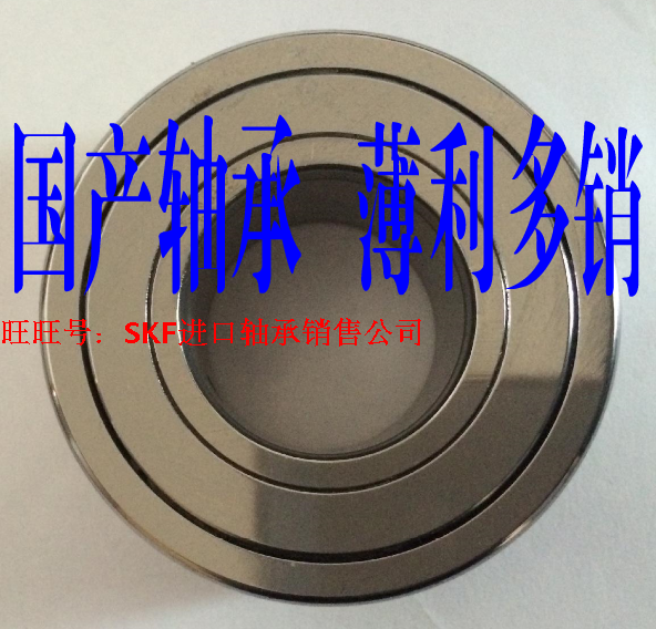 Shanghai Roll Needle Bearing Backing Roller Bearing NATR17-PPX NATR20PX NATR25PPX