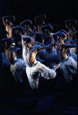 DVD Men's version of Swan Lake Matthew Byrne