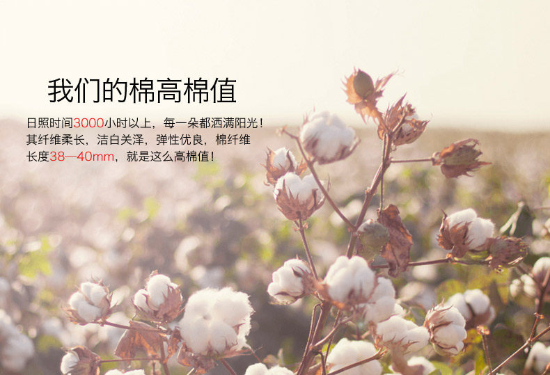 Sous-vêtement chaud jeunesse en coton - Ref 761311 Image 13