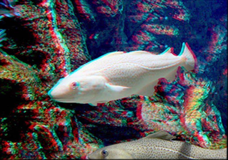 Lunettes 3D - Ref 2621277 Image 8