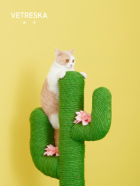 Unstuck Cactus cat rack cat climbing frame cat nest cat tree one small non-occupied cat grab post cat catch cat scratch board