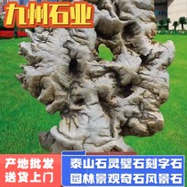 Courtyard Landscaped Forest Landscape Styling Stone Point View Lake Stone Small Courtyard Interior Decoration Placed Ornamental Water View Fake Mountain