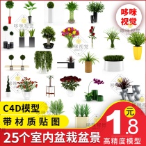 C4D engineering model material indoor FBX plant OBJ decoration small fresh potted bonsai flowers grass green vegetation