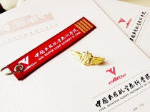 China Civil Aviation Flight Academy training aircraft model Medal China Flying Academy Cessna 172 primary teaching aircraft model