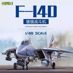 Small Transparent Model Great Wall Assembled Aircraft Model L4834 1/48 F-14D Tomcat Carrier-Based Fighter Jet