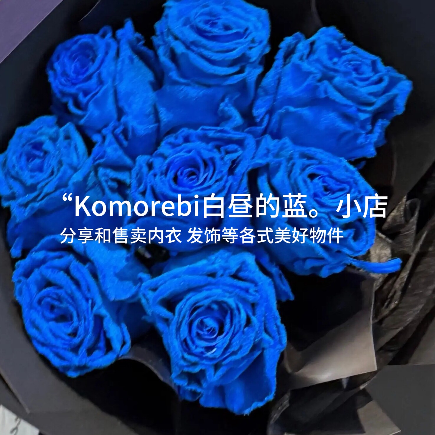 Komorebi 白昼的蓝