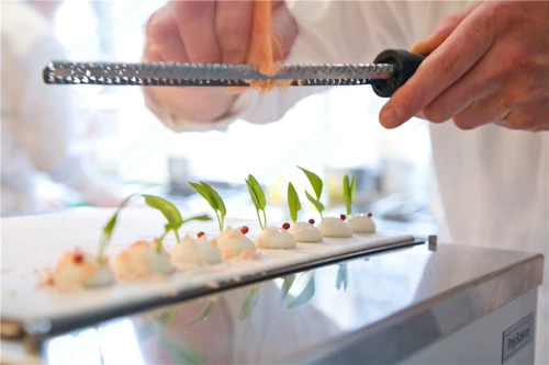 Американская полиспира Бревилль Коммерческий замороженный замороженный пищу Скорость замороженные замороженные холодные кросс -критерия