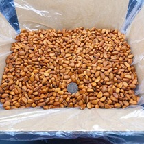 Pine nuts super extra large original flavor 2 pounds new goods northeast open pine nut king hand peeled dry goods nuts bulk 5 pounds new years goods