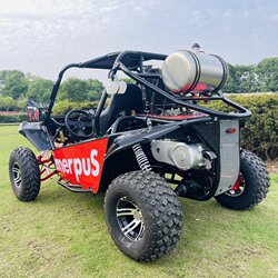 Hongyun 300cc ເອກະລາດ suspension off-road ໄປ-kart shaft ຂັບທັງຫມົດ terrain UTV scenic spot ຍານພາຫະນະຫາດຊາຍຫາດຊາຍ