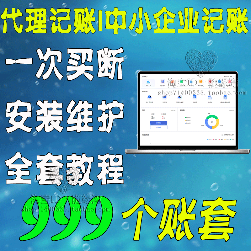 Standard Version, Professional Version, Financial Software for Small and Medium-Sized Companies, Personal Agents, Non-Profit Accounting, Package Installation and Maintenance