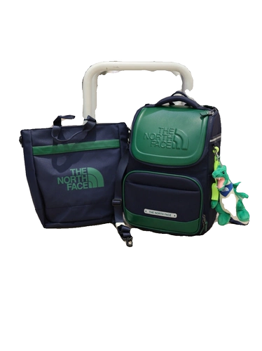 The north face, ретро школьный рюкзак, Южная Корея