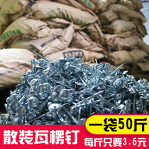  Self-produced) Asbestos tile nails High-quality bulk corrugated nails color steel tile nails snail rod 3 6 yuan kg)50 kg