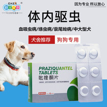 Dog anthelmintic in vivo deworming praziquantel tablets for pets golden hair edge grazing medium and large adult puppies universal insecticide