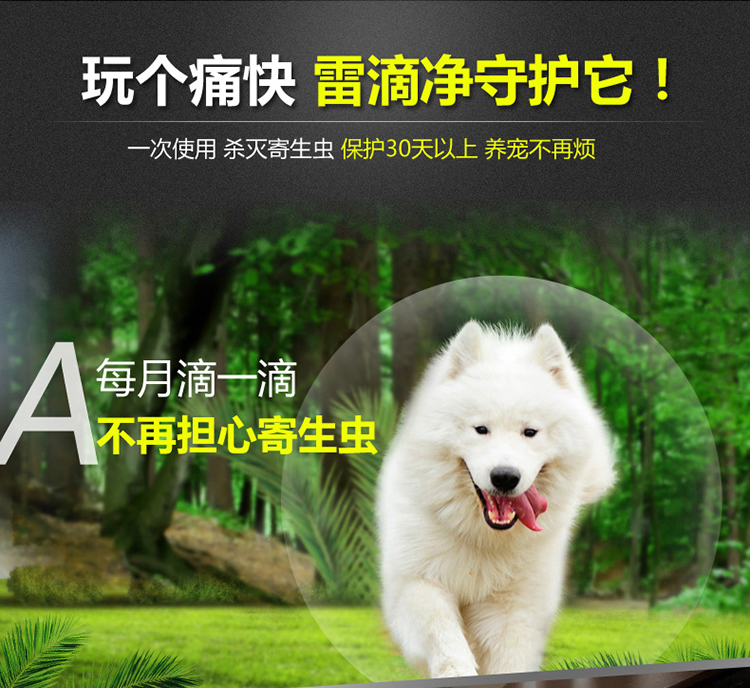 Remi Gao Lei nhỏ giọt 0,5ml mèo cưng chó tẩy giun ngoài thuốc diệt muỗi - Cat / Dog Health bổ sung sữa mèo con