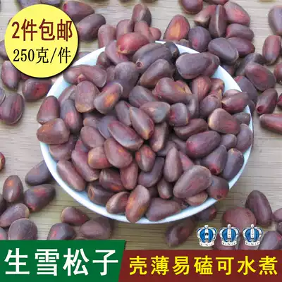 New raw pine nuts can be boiled in salt water Pine nuts Wild Russian raw pine nuts 1 piece 250g 2 pieces