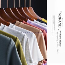 (Special) threaded knitted spring and summer womens solid color T-shirt smooth fabric Joker non-iron short sleeve pullover T0122