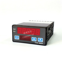 EVER GREEN EG-S21 Ligen setting machine governor