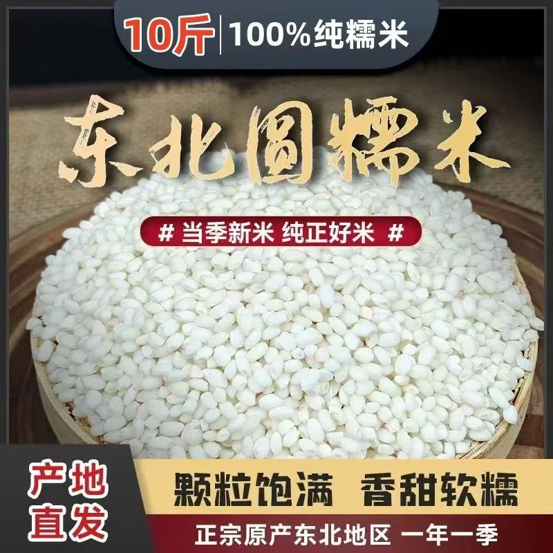 Northeastern Round-Grain Glutinous Rice, White Glutinous Rice, New Glutinous Rice for Brewing, Making Zongzi, Sticky Rice Balls, Farm Rice 80g 0.5kg 1.0kg