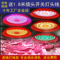 led fresh meat pork lamp fresh lamp marinated meat marinated vegetable lamp deli special light red dimming vegetable fruit lamp