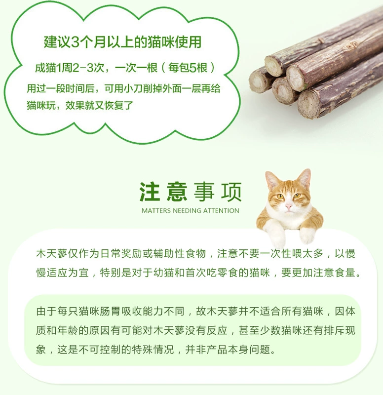 Cat Snacks Molar Rod Wood Scorpio Rod Cat Molar Clean Răng Snacks Pet Cat Snacks Factory Direct 5 Pack