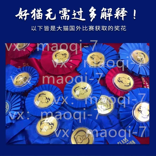 Сеть красный питомец мой сосед Totoro Totoro Live Cubs Торга Серый серебряный розовый розовый розовый уборщик с помощью вакцины