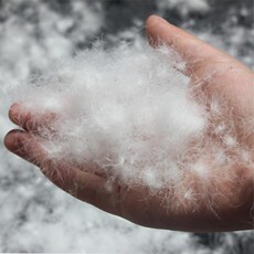 Вниз наполнителя 国标90%白鸭绒 大朵散装羽绒 水洗羽绒 羽绒服制品填充物（50g）