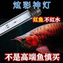 Fish tank lamp Brightening Led Lamp Color Increase Water Lamp Waterproofing Longfish Rohan Aquarium Tricolour Lamp God Lamp Tropical