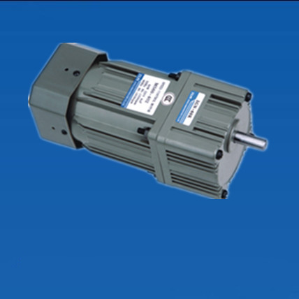 Dongli fixed speed motor Gear reducer motor 5IK60GN-C with gearbox 60W single phase 220V