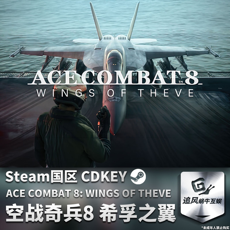 Steam Genuine Pc Game Ace Combat 8: Skies of Xiphos China Region Activation Code Cdkey