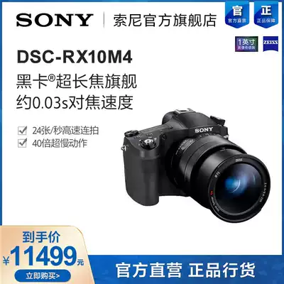 Sony Sony DSC-RX10M4 Digital Camera Sony Black Card Super Telephoto Camera RX10m4
