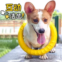 Интерактивная игрушка для тренировок, фрисби, кольцо, подходит для подростков