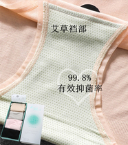 Quantum Wormwood antibacterial mask underwear female modal middle waist little lady breifs ultra thin seamless breathable cotton