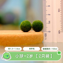 Bespoke: Order full 100 to give 2-year 2 old 2