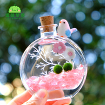 MARIMO Seaweed Ball Marimo Micro Landscape Balsamic Algae Ecological Bottle Hydroponic Plant Indoor Perfume Bottle for the Nutrient Solution