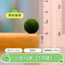 Bespoke: Order full 55 to give 1 year 2