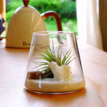 Air pineapples brackets Good raising of soilless cultivation hanging room Lazy Vegetal Desk Creative Potted Micro Landscape