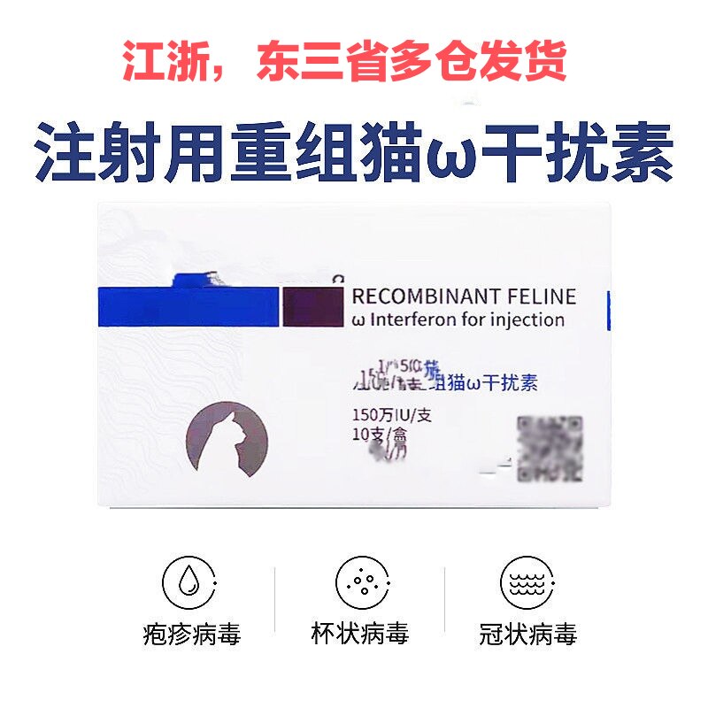 Cat Interferon Cat Nasal Branch Interferon Cat Fever Cat Herpes Cat Spread of Abdominal Goblet of Cat Interferon